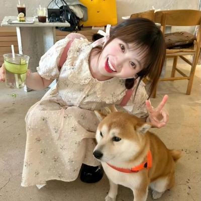 新岳父大人2